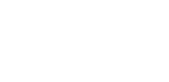 Logo - The Bird Academy